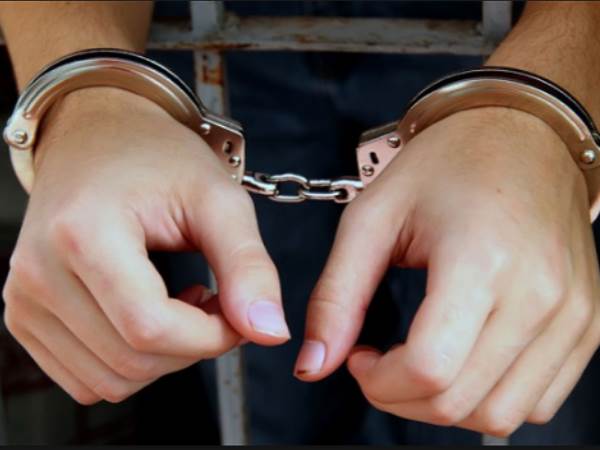 കസ്റ്റഡിയില്‍ വിട്ടു