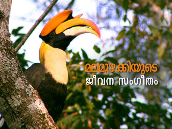 മികച്ച ഡോക്യുമെന്ററി 