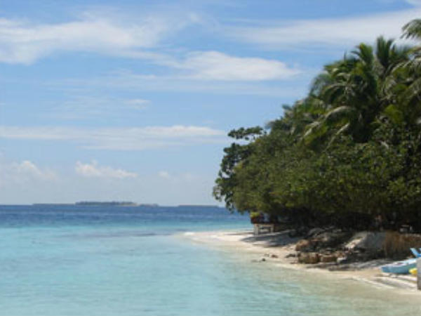 സൗദിക്ക് വില്ക്കുന്നു സൗദിക്ക് വില്ക്കുന്നു