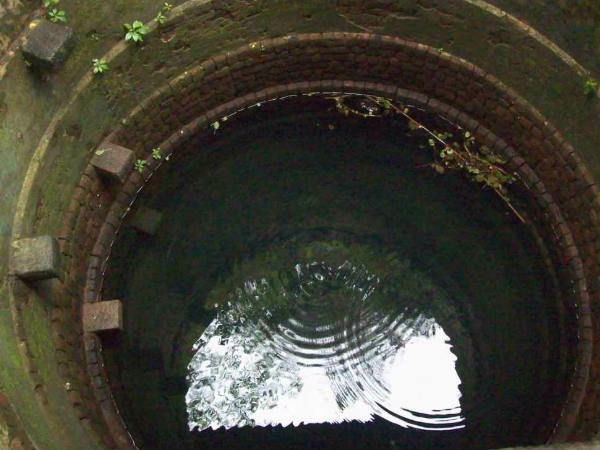 എട്ട് കിണറുകളിലും കുളത്തിലും...