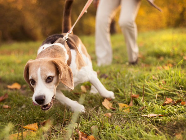 സംഭവം അമേരിക്കയില്‍