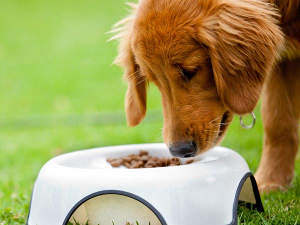 പത്ത് വര്‍ഷം തടവ്