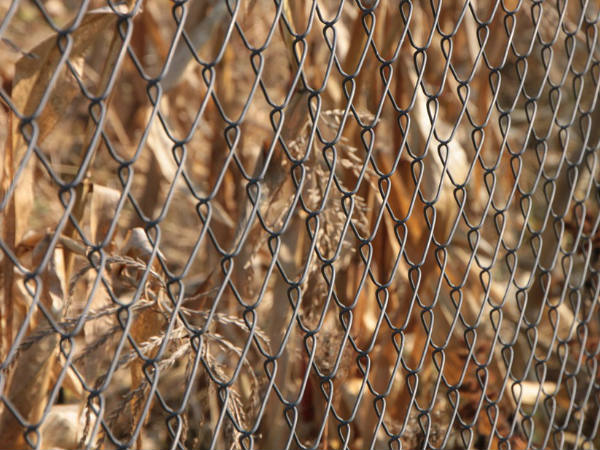 വസ്ത്രം പൂര്‍ണമായും അഴിച്ച് മാറ്റി