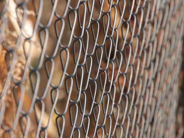 പോലീസ് അറസ്റ്റ് ചെയ്തു