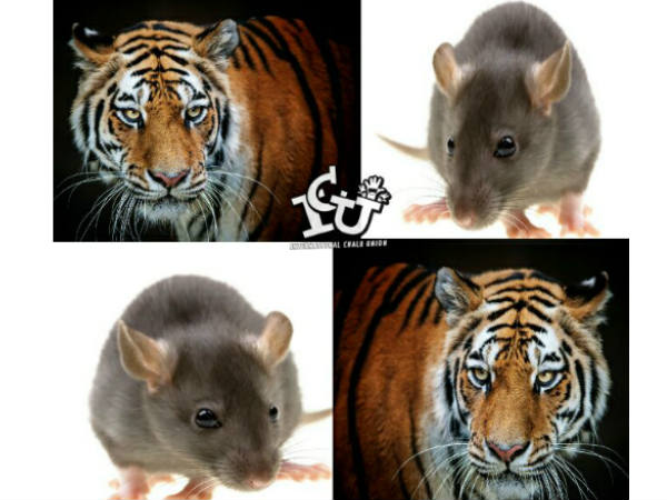 അവാര്‍ഡിന് മുമ്പും പിമ്പും