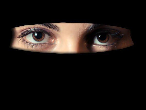 അപമാനം ജനപ്രതിനിധികൾക്ക്