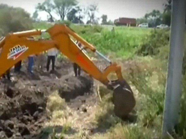 നവജാത ശിശുക്കളുടെ മൃതദേഹം കണ്ടെത്തി