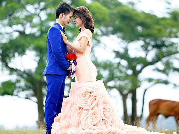 സ്തനങ്ങളും പ്രത്യുത്പാദനവും