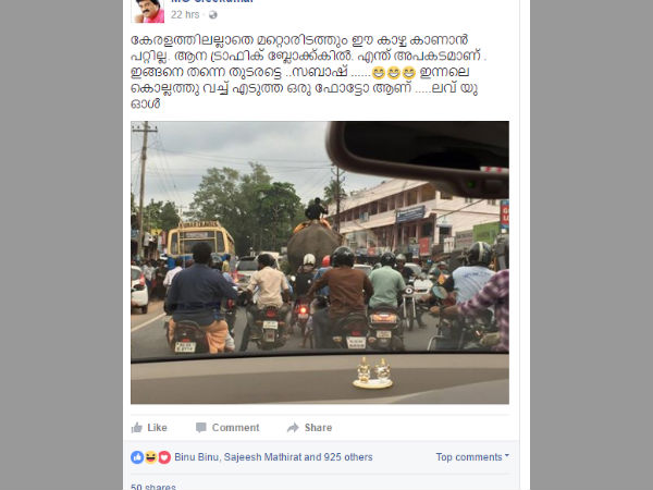 ട്രാഫിക് ബ്ലോക്കില്‍ ഒരു ആന