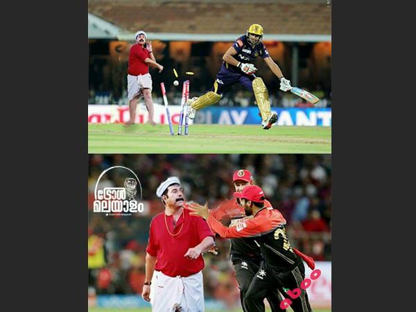 ക്രിക്കറ്റിലും