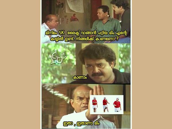 ഇതാണാ മീം