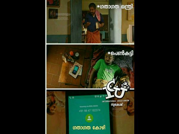 ഗതാഗത കോഴി