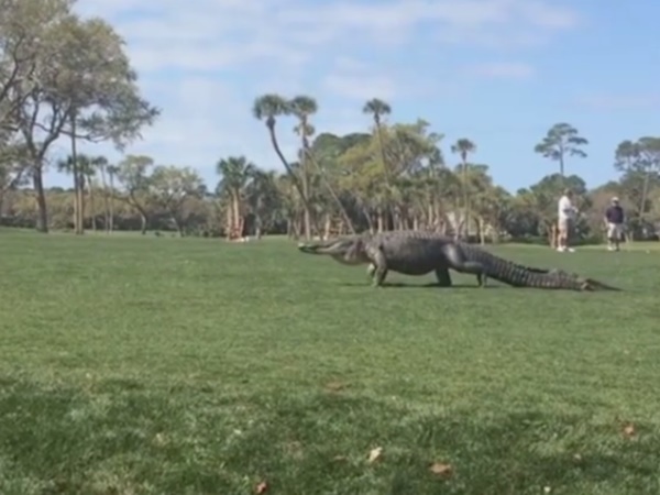 സൗത്ത് കരോലിനയില്‍