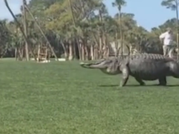 ആദ്യം ശ്രദ്ധിച്ചില്ല