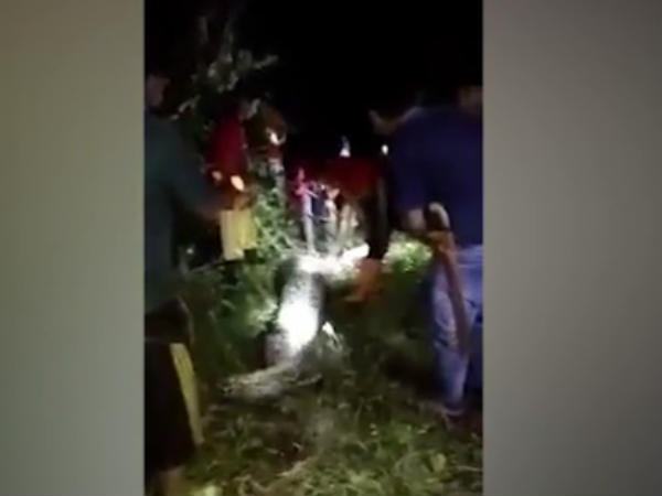 അക്ബര്‍ സലുബിറോ എന്ന യുവാവ്