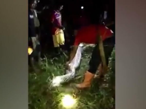 ജീവന്‍ കിട്ടില്ലെന്ന് ഉറപ്പ്