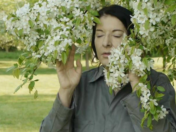 നിറതോക്ക്, റോസാമുള്ളുകള്‍...