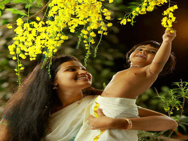 കണിക്കൊന്ന കാഴ്ച്ച