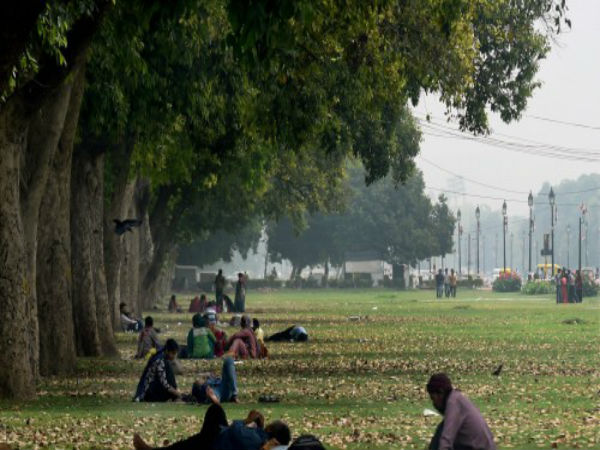 പ്രകൃതിയിലെ എയര്‍ കണ്ടീഷ്ണര്‍