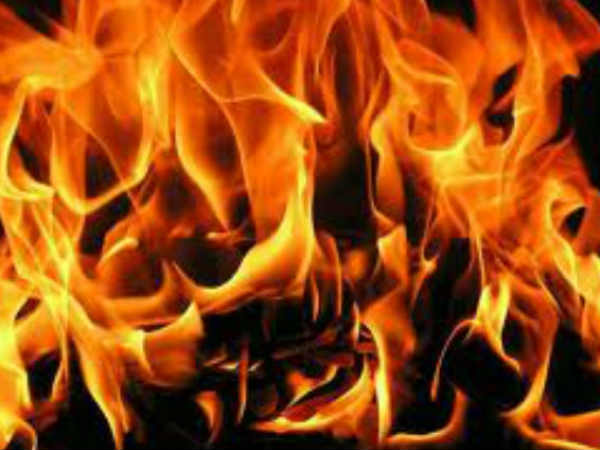 എല്ലാം ഒറ്റയ്ക്ക്