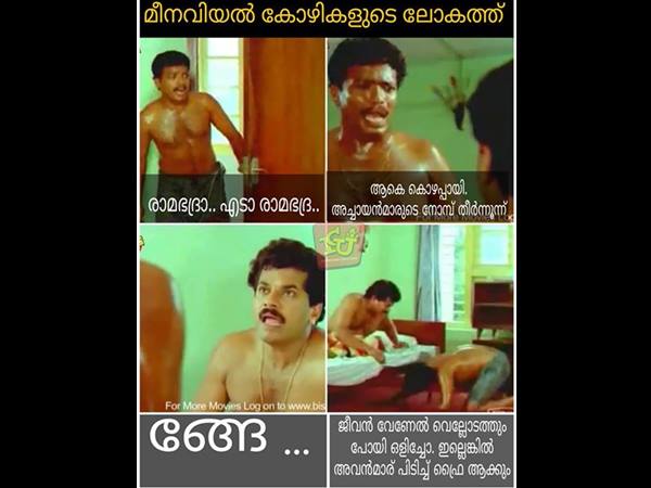 കോഴികളുടെ ലോകത്ത്