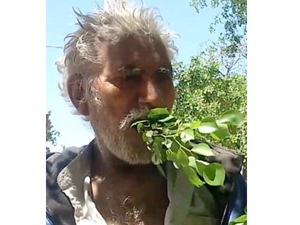 ഇപ്പോള്‍ ശീലമായി 