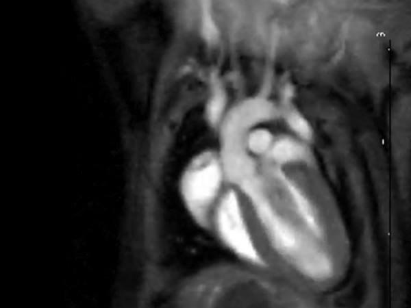 ഉപകാരം ഉപകാരം