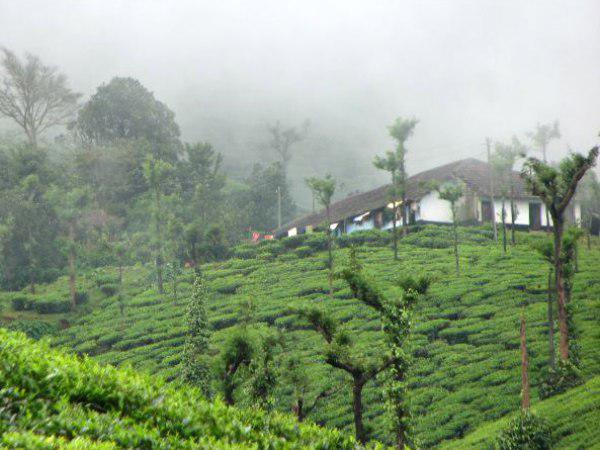  വികസനത്തെ കുറിച്ച്