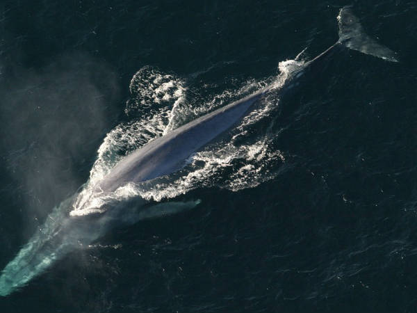 ഹൊറര്‍ സിനിമകളില്‍ തുടക്കം