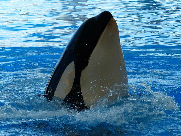 ഭീതിയില്‍