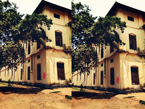 പിടികൂടണം പിടികൂടണം