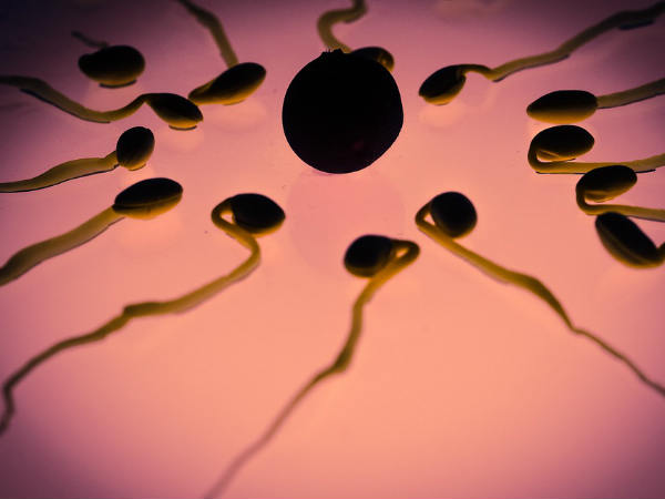 പഴവര്‍ഗ്ഗങ്ങളിലുണ്ട് സാധനം