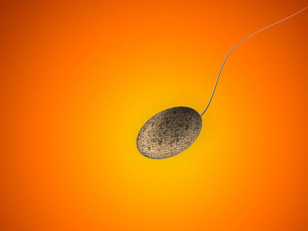 സ്ത്രീകള്‍ക്കാണെങ്കില്‍