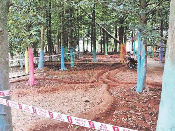 പാഡി കാണാന്‍ എത്തുന്നത് വിരവധി പേര്‍