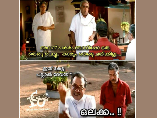 തെങ്ങ് ചതിക്കില്ല... പനയോ