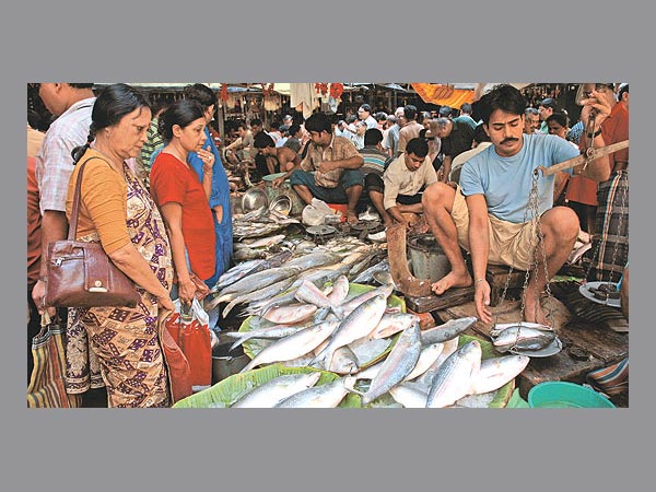  3.63 മില്യണ്‍ ടണ്‍
