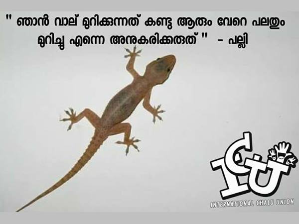 അനുകരിക്കരുതെന്ന് പല്ലി!