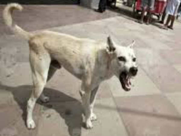 മരിച്ചത്