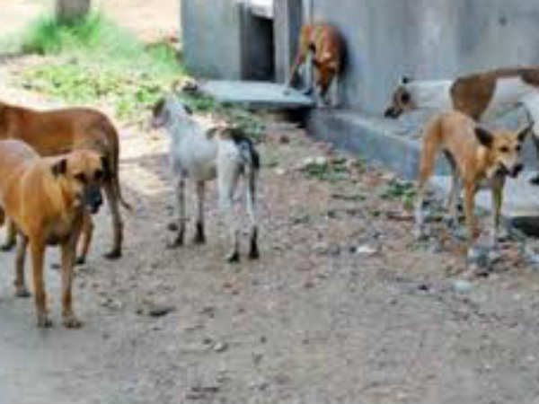 കടല്‍തീരത്തു വച്ച്