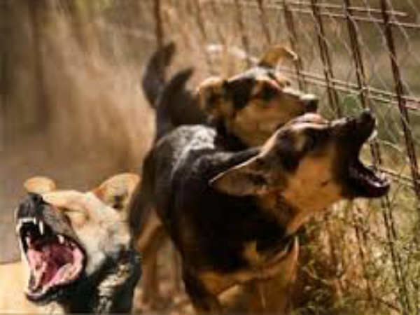 രണ്ടാമത്തേത്