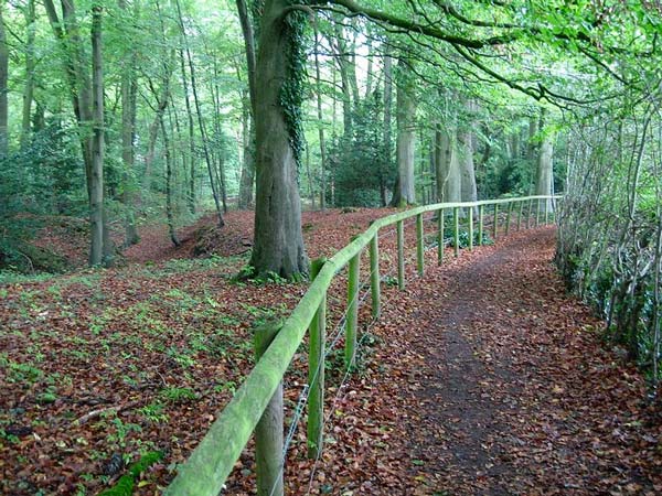  ബംഗലൂരുവിലെത്തുമ്പോള്‍..