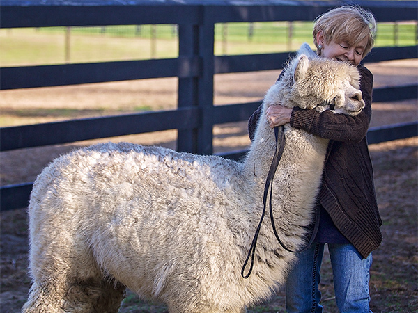 സമ്മര്‍ദ്ദം കുറക്കാന്‍ ആടും!!!