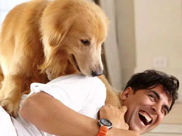 ഓറക്കിളിലുമുണ്ട്, പൂച്ചയല്ല, വളര്‍ത്തുനായ