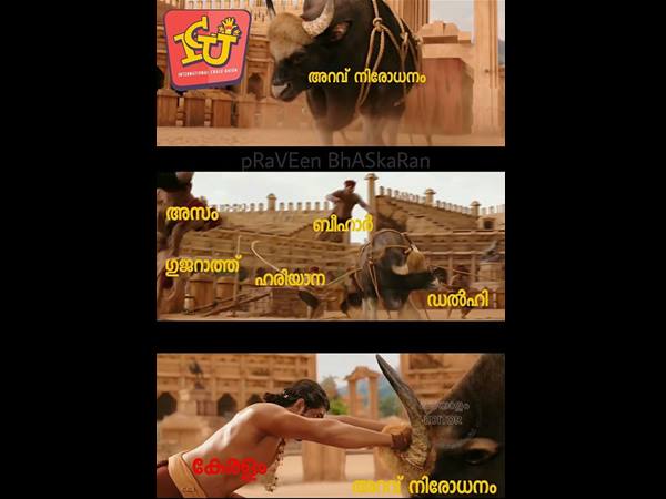 പല്‍വാല്‍ ദേവനെ പോലെ