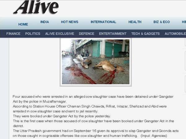 ബീഫ് ഫെസ്റ്റ് തടയണം