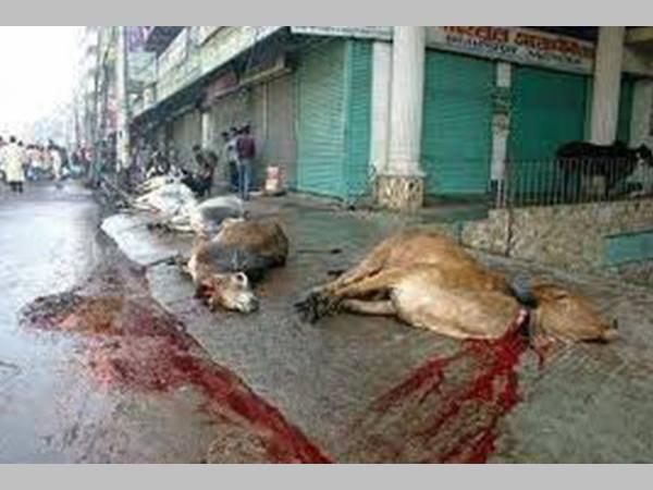 പ്രകോപനപരമത്രേ