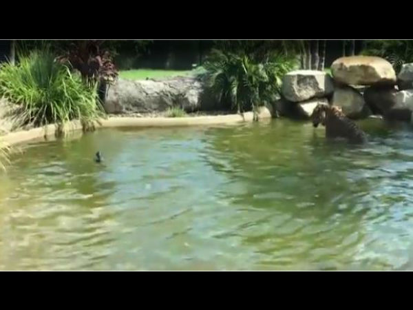 വനംവകുപ്പ് അധികൃതരോട്...