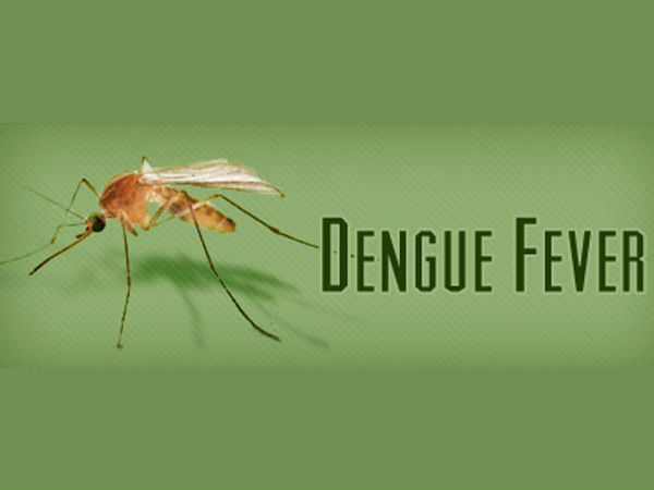Dengue fever Dengue fever