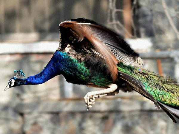 ജിതിൻദാസിന്റെ വക... ജിതിൻദാസിന്റെ വക...