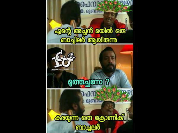 ക്രോണിക് ബാച്ചിലര്‍